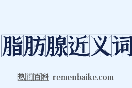 脂肪腺近义词是什么意思的图片